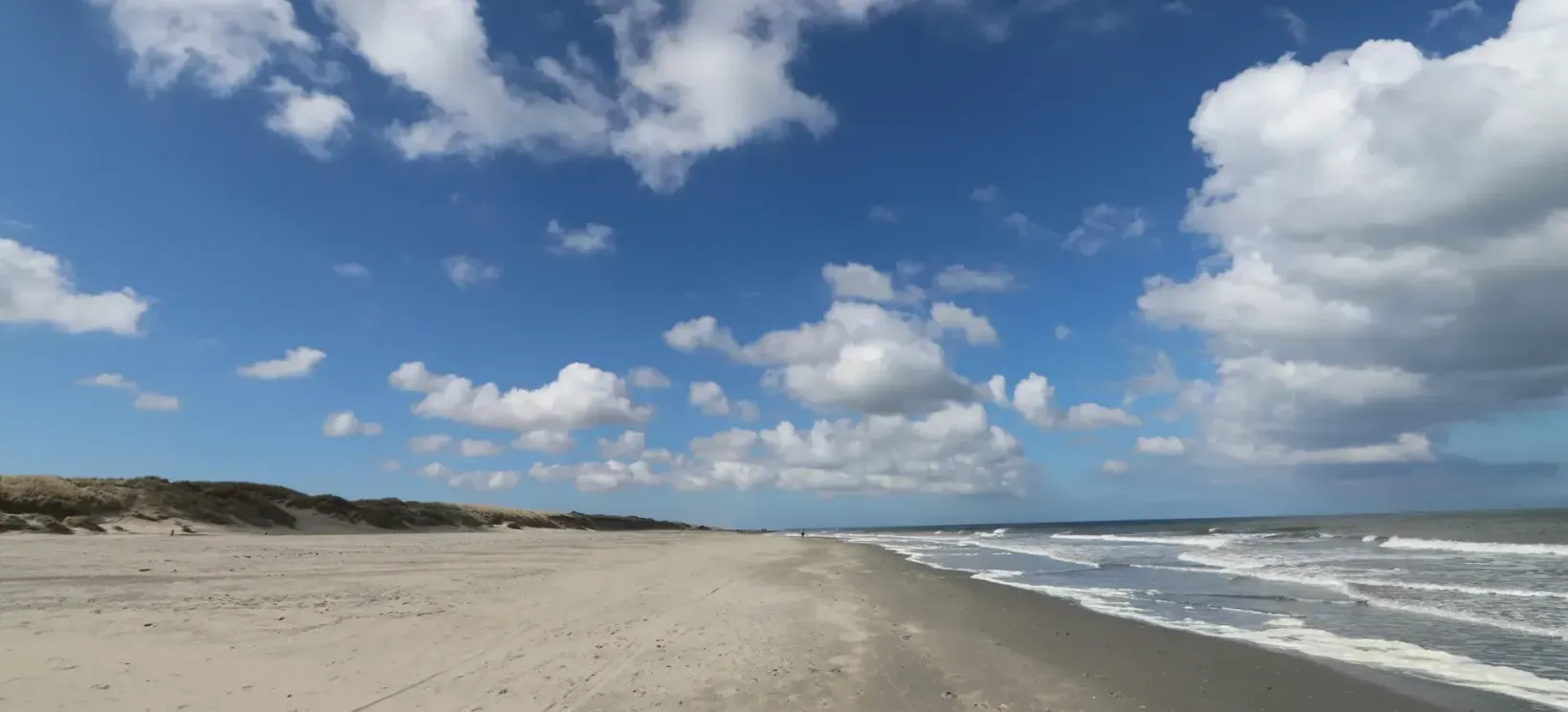 julia-taubitz-wkzvClFd2tk